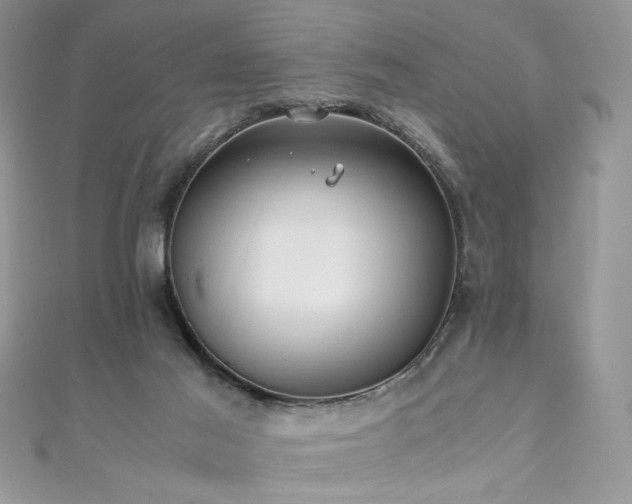 X0000110930021200906181438