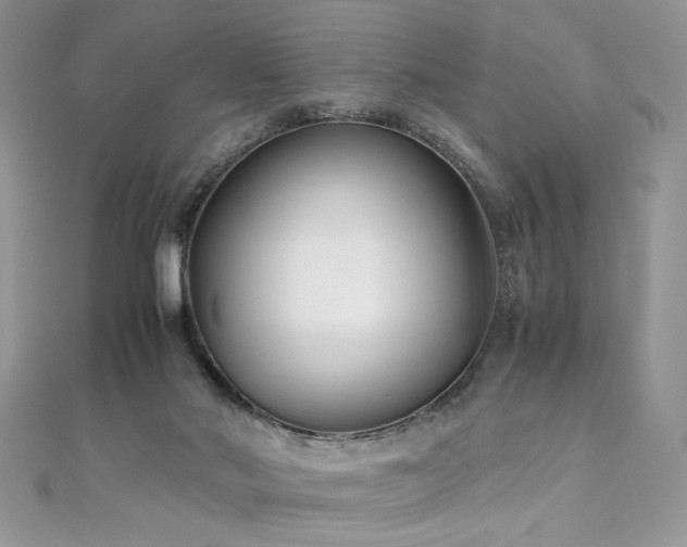 X0000110930022200906181438