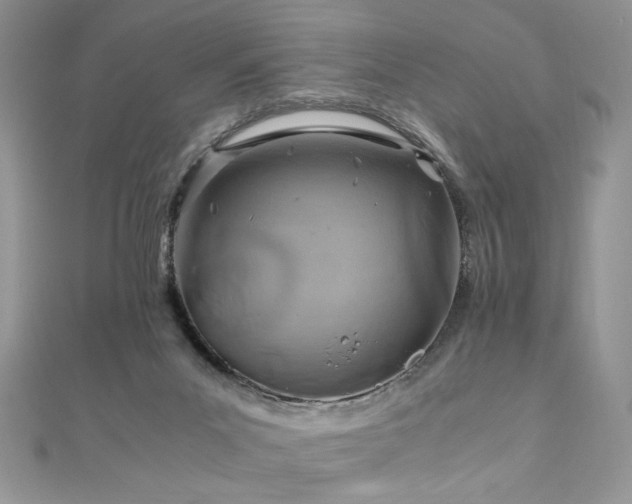 X0000110930023200906181438