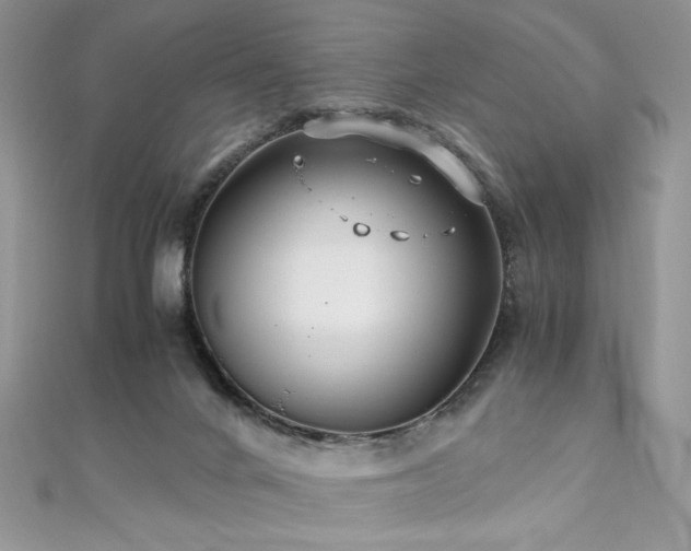 X0000110930024200906181438