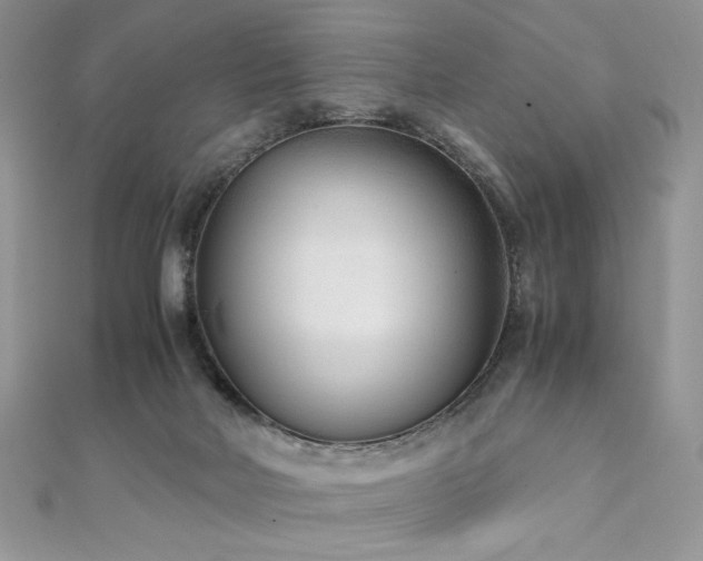 X0000110930026200906181438