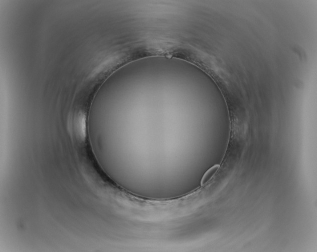 X0000110930027200906181438