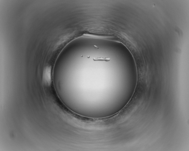 X0000110930028200906181438