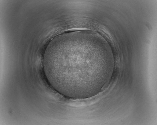 X0000110930029200906181438