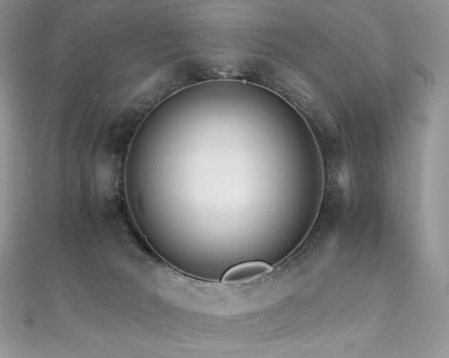 X0000110930030200906181438