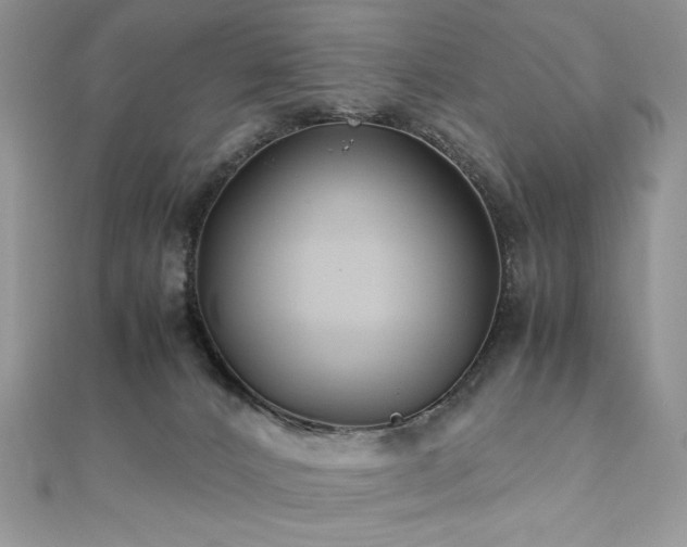 X0000110930032200906181438