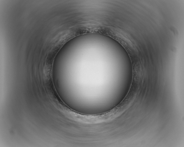 X0000110930034200906181438