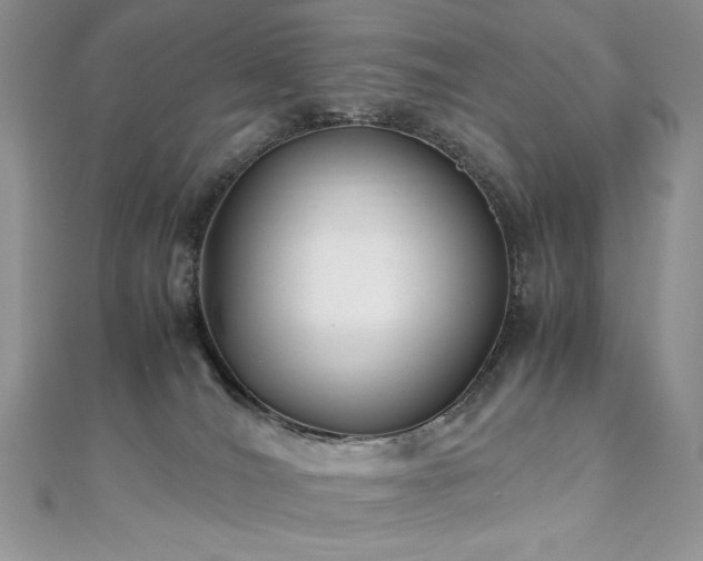 X0000110930036200906181438
