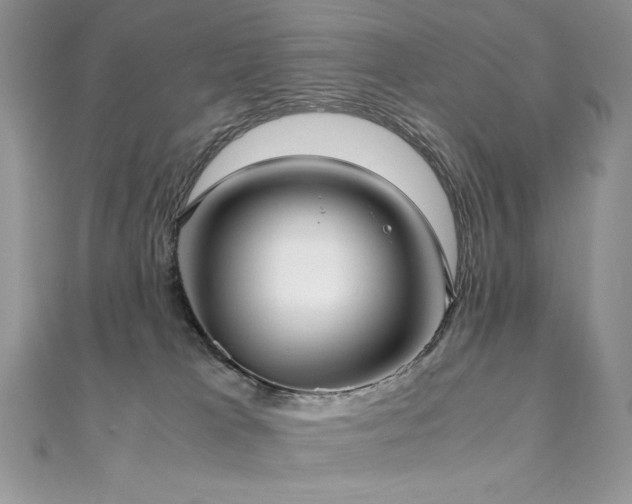 X0000110930037200906181438