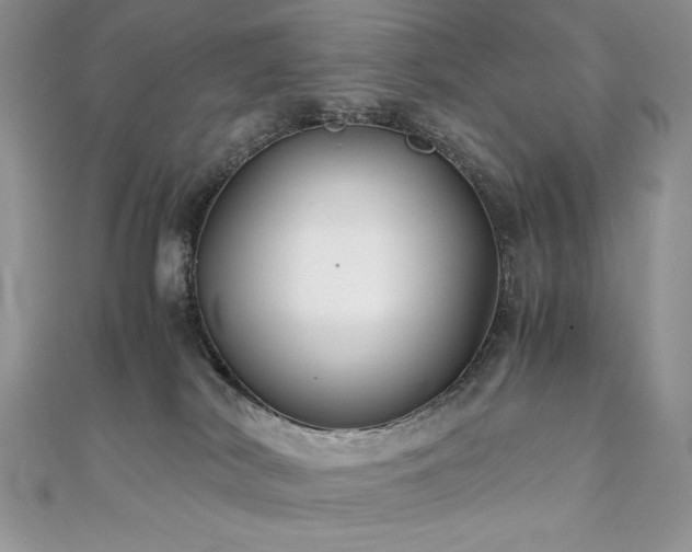 X0000110930038200906181438