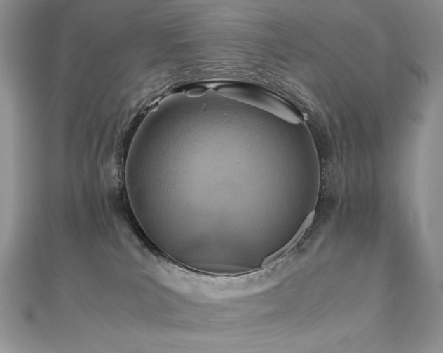 X0000110930039200906181438