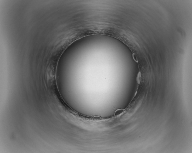 X0000110930040200906181438