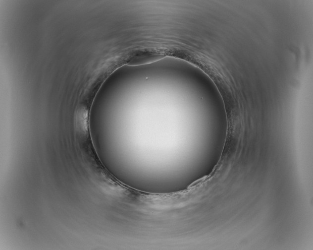 X0000110930041200906181438