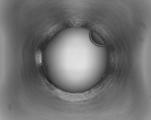 X0000110930042200906181438