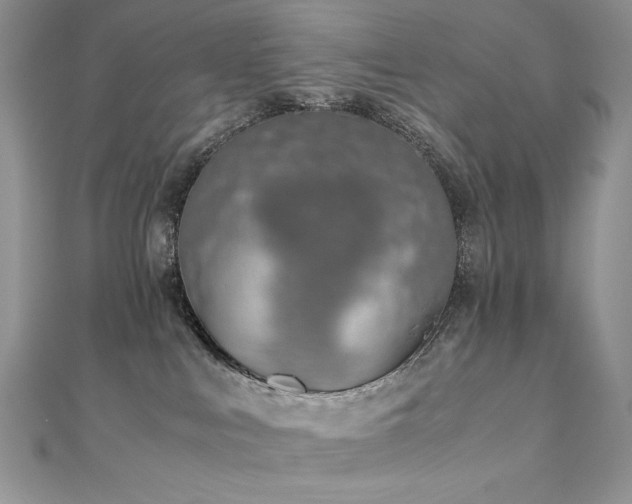 X0000110930043200906181438
