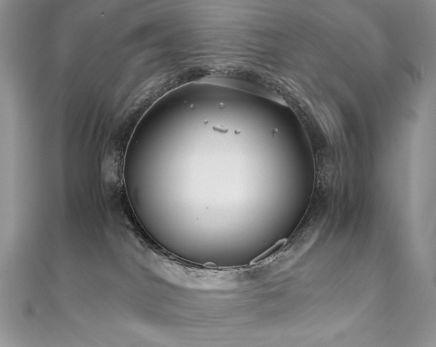 X0000110930044200906181438