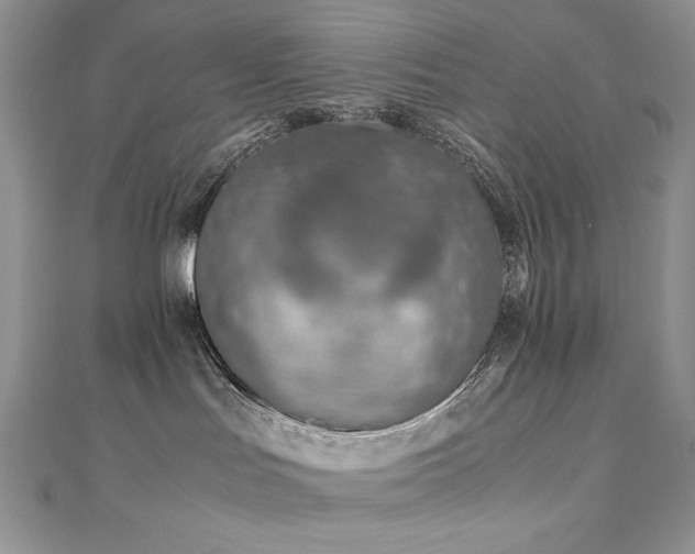 X0000110930047200906181438