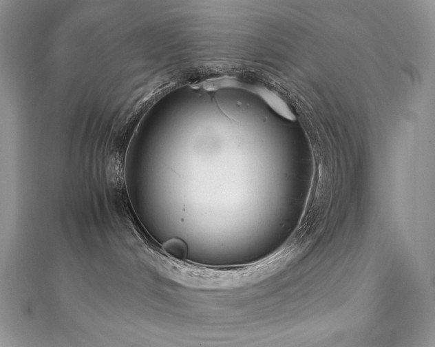 X0000110930048200906181438