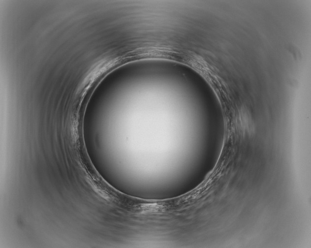 X0000110930050200906181437