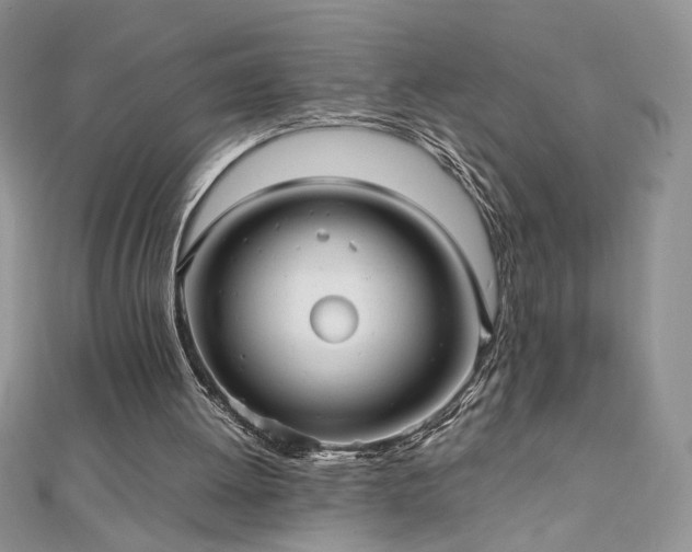 X0000110930052200906181437