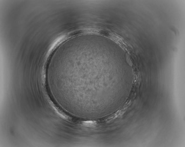 X0000110930053200906181437