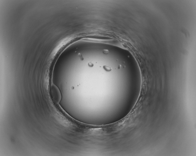 X0000110930054200906181437