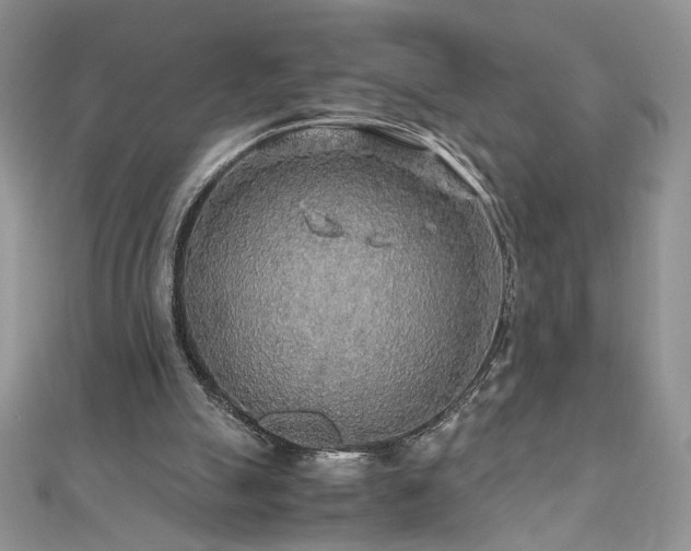X0000110930055200906181437