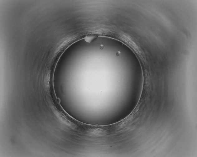 X0000110930058200906181437