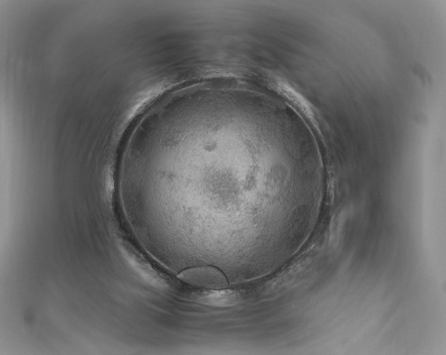 X0000110930059200906181437