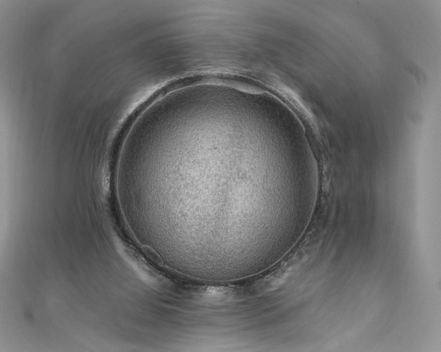 X0000110930060200906181437