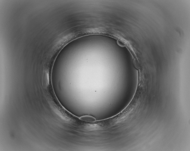 X0000110930061200906181437