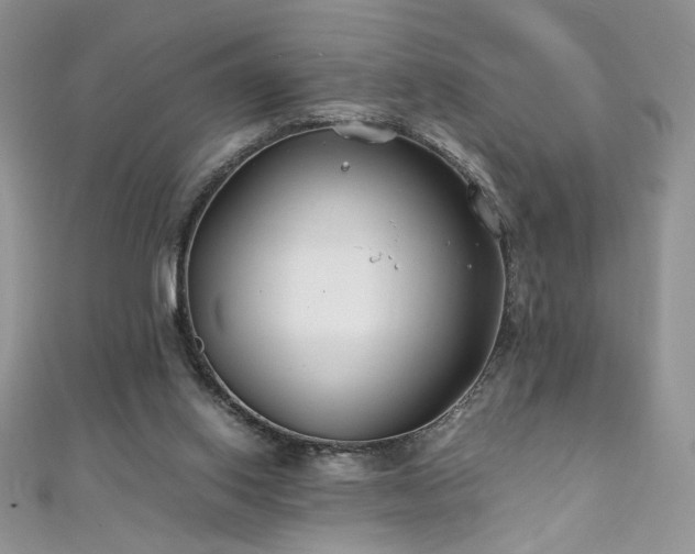 X0000110930062200906181437