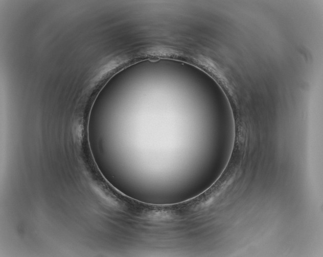 X0000110930063200906181437
