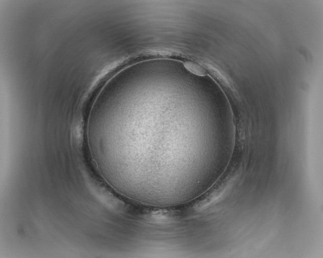 X0000110930064200906181437