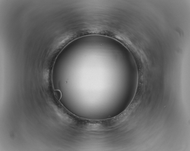 X0000110930066200906181437