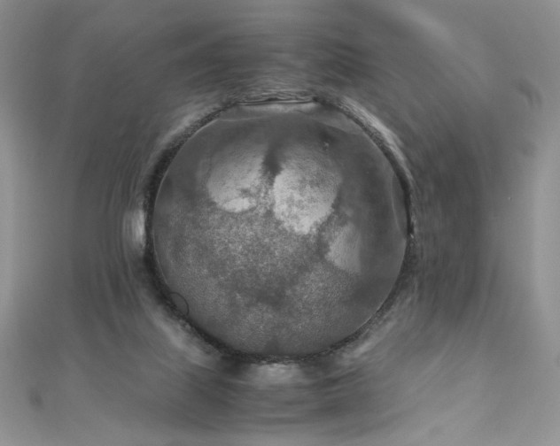 X0000110930067200906181438