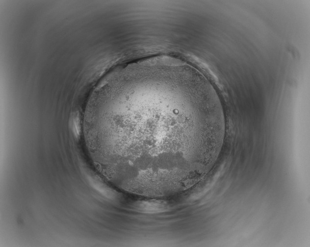 X0000110930069200906181438