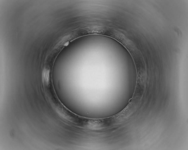 X0000110930070200906181438