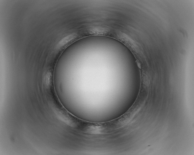 X0000110930071200906181438