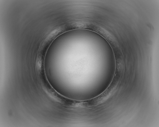 X0000110930072200906181438