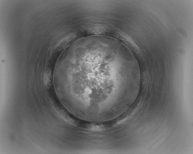 X0000110930073200906181438