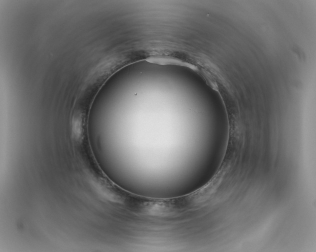 X0000110930074200906181438