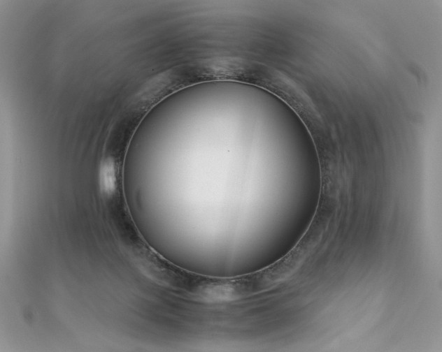 X0000110930075200906181438