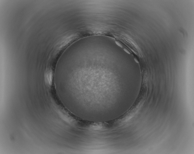 X0000110930076200906181438