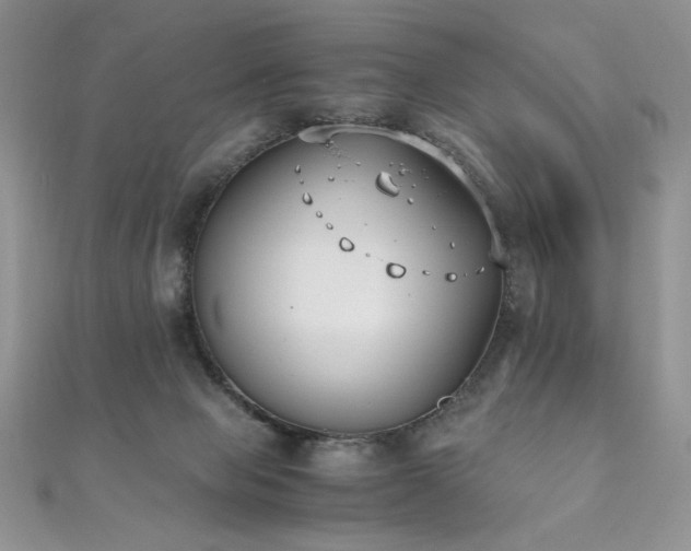 X0000110930077200906181438