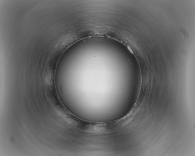 X0000110930078200906181438