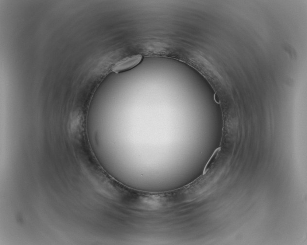 X0000110930079200906181438