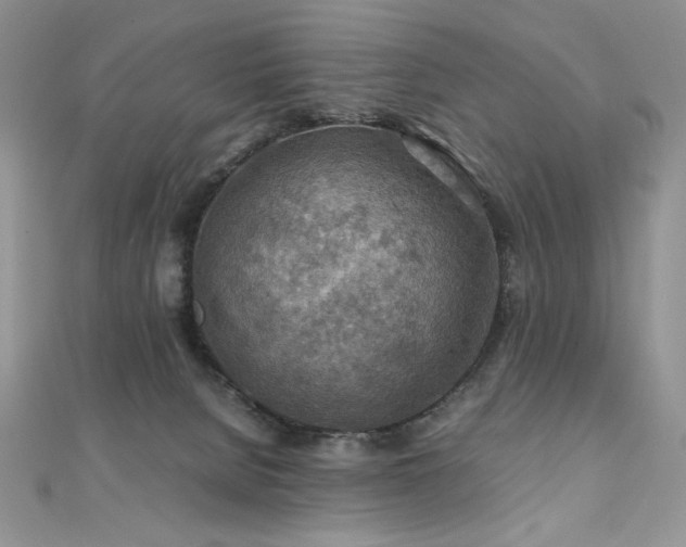 X0000110930080200906181438