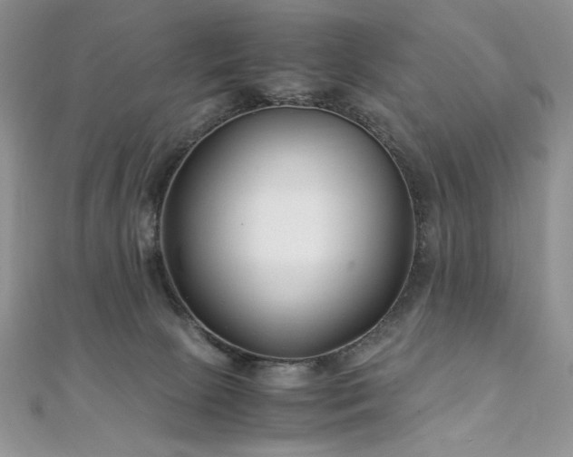 X0000110930081200906181438