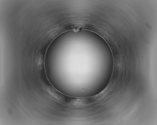 X0000110930082200906181438